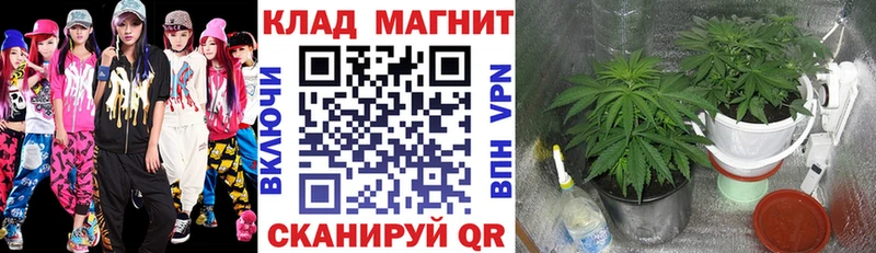 Какие есть наркотики Хвалынск МЕТАМФЕТАМИН Мефедрон ТГК СОЛЬ Конопля